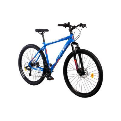 BICICLETA MTB TERRANA 2905 29 INCH L ALBASTRU