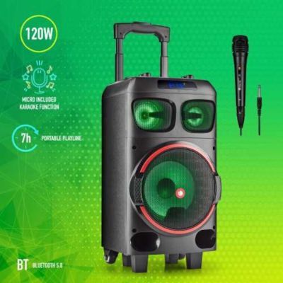 Boxa bluetooth NGS WILD DUB ZERO cu microfon, negru