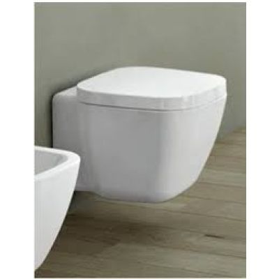 Capac WC ONE Soft Close alb Rakonsc00004