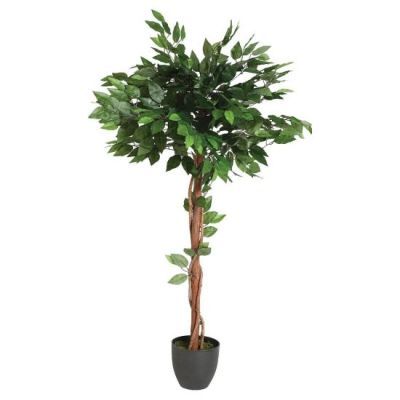 Ficus artificial H120 cm