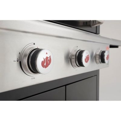 Gratar pe gaz Triton 3.1, 3 arzatoare 12.5 kW otel cu roti deplasare si ceas de temperatura, negru, 65 x 45 cm