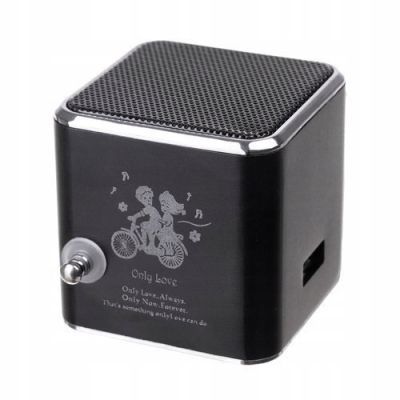 Mini wireless speaker with radio Gb12274