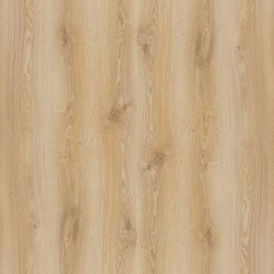 Parchet laminat trend OAK PRK501 8MM AC4 CL32, 8mm, 1.8336 mp / cutie, beige