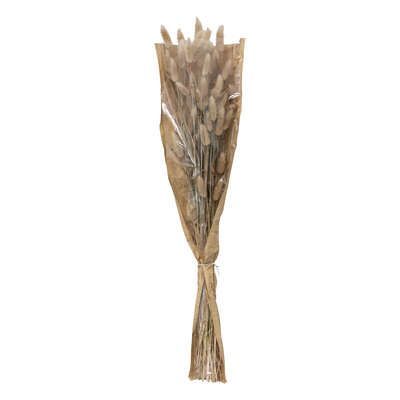 Buchet plante uscate fildes 18 x 58 cm 189113