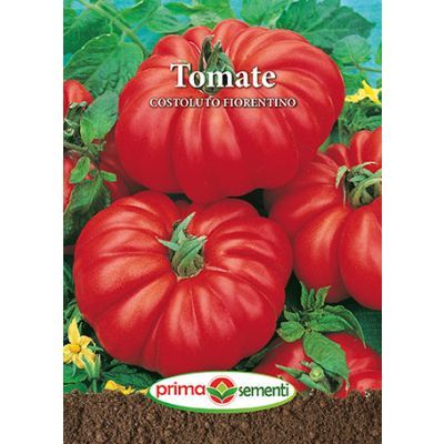 Seminte de tomate taranesti Costoluto Fiorentino