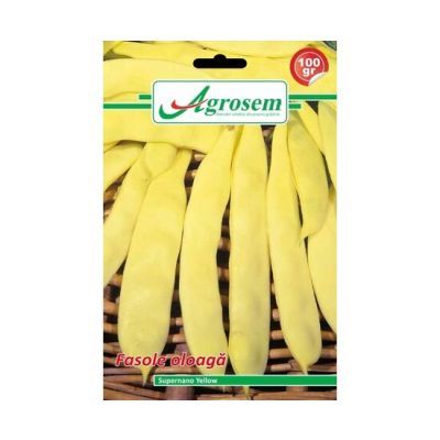 Seminte fasole oloaga SUPERNANO YELLOW, Agrosem 100 gr