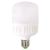 Tg BEC LED 30W E27 6500K Tg-2401.1301-el0038667