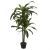 Dracena Artificiala 130CM